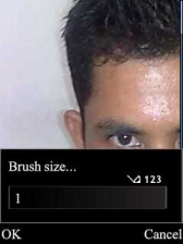 Brush-size